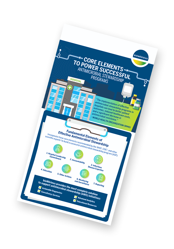 AMS Core Elements Infographic.