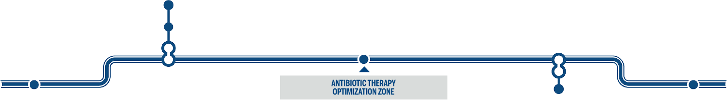 Antibiotic therapy optimization zone.