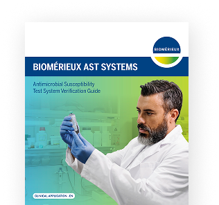 AST Verification Guide