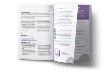 Clarion White Paper booklet.