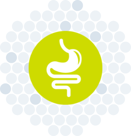 Gastrointestinal (GI) Panel icon.