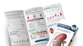 Brochure Mockup