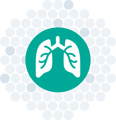 Pneumonia (PN) Panel icon.