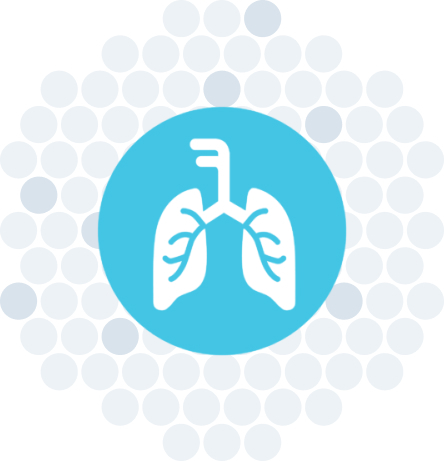 Respiratory panel icon