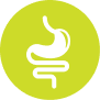 line illustration of stomach and intestines on green background