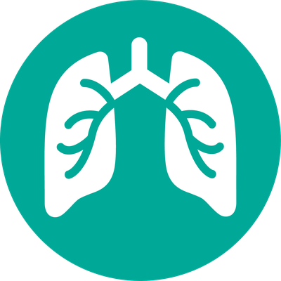 PNplus icon