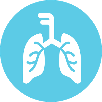 RP2.1plus icon